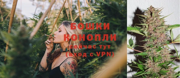 дживик Богданович