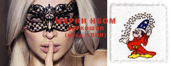 mdma Богородицк
