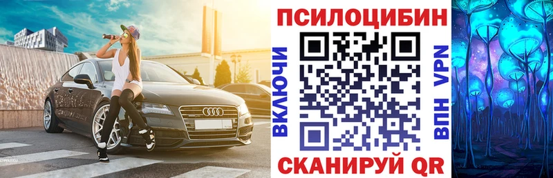 Купить Гулькевичи Псилоцибиновые грибы прущие грибы